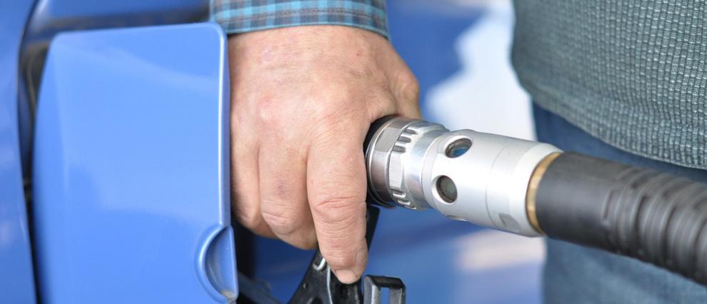 surtigal.com - Foto - 2